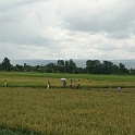 India & Nepal 2011 - 0525